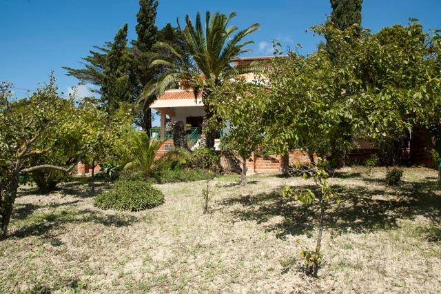 Casa Vacanze Palma เรอัลมอนเต ภายนอก รูปภาพ